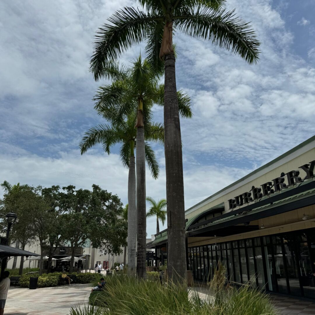 WhatsApp Image 2025-12-16 at 19.45.42